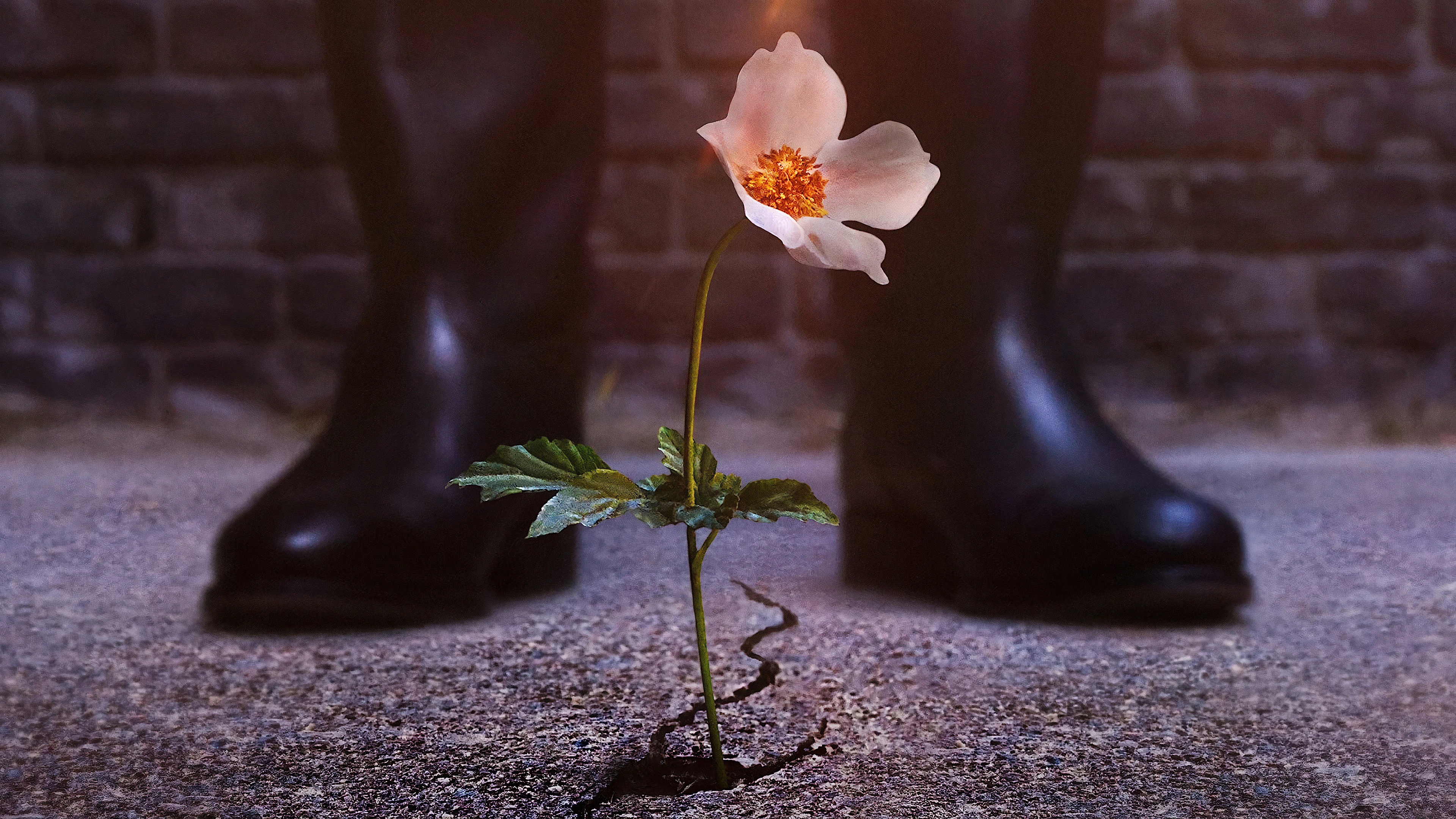 Phim Thế Giới Của Phát Xít (Phần 4) - The Man in the High Castle (Season 4) (2019)