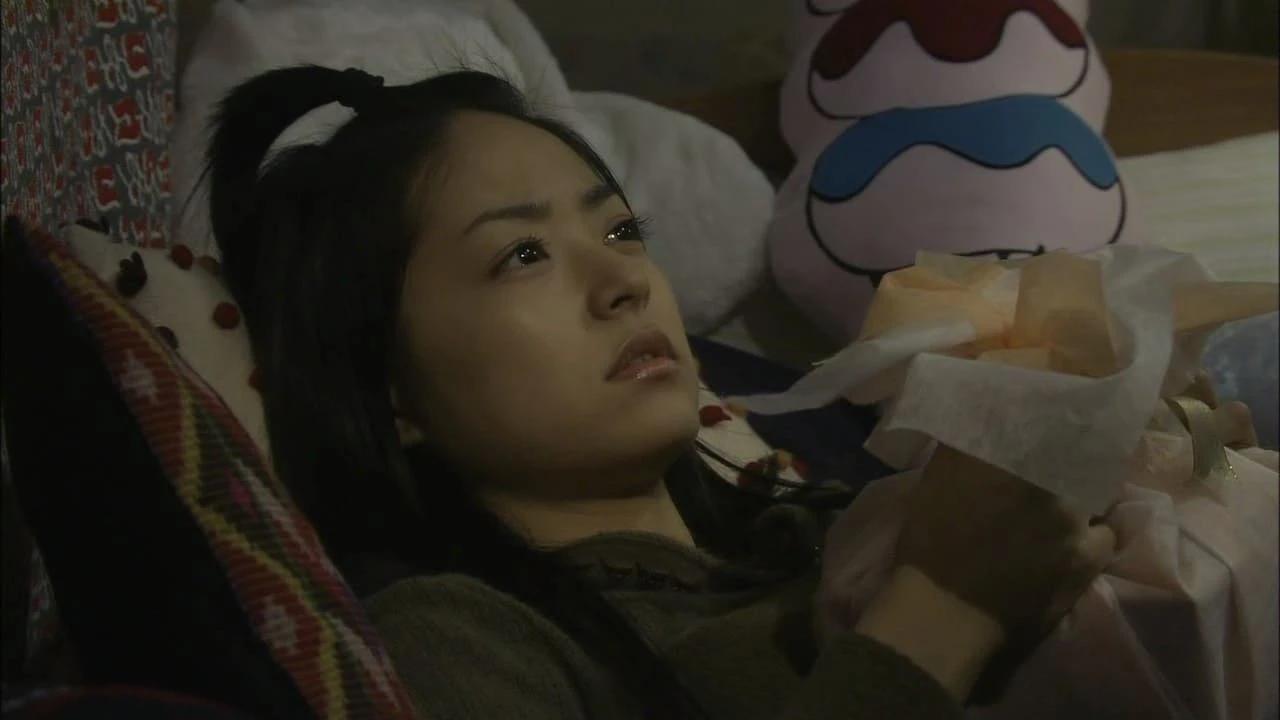 Phim Vườn Sao Băng: Hồi Kết - Boys Over Flowers: Final (2008)